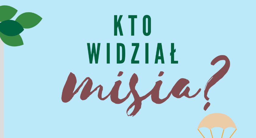 Kto widział misia?
