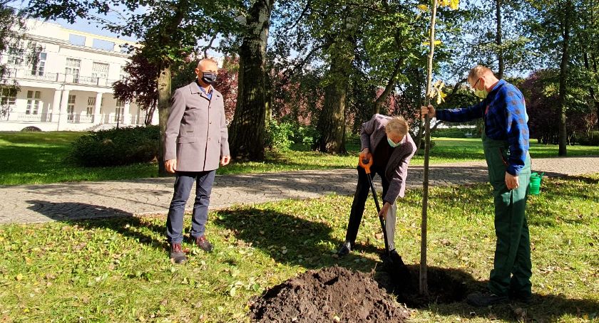 Kolejny dąb zasadzony w Parku Solankowym