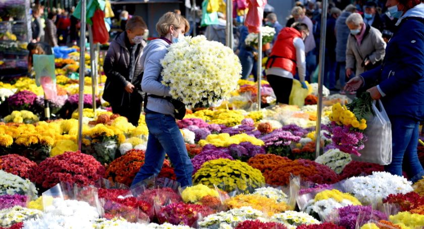 Premier: oddziały ARiMR i KOWR odkupią od producentów i sprzedawców kwiaty i rośliny