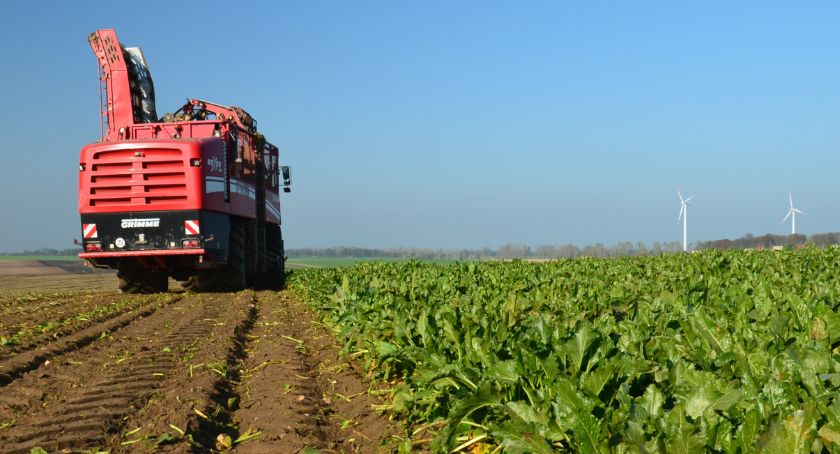 Krajowa Spółka Cukrowa podsumowuje kampanię cukrowniczą 2020/2021