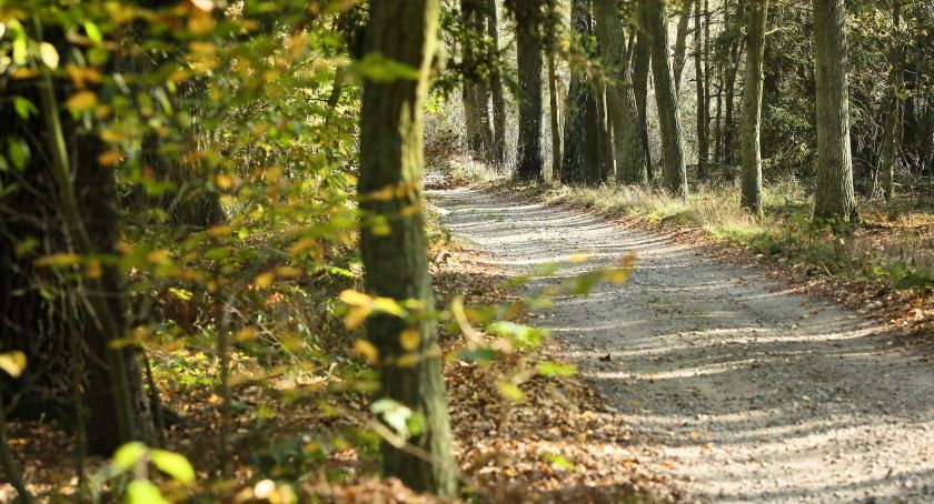 Inowrocław Synoptyk IMGW: poniedziałek ciepły i pogodny, z temperaturą do 23 stopni