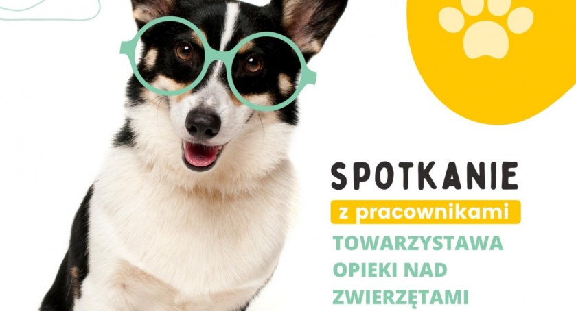 O opiece nad czworonożnymi domownikami 