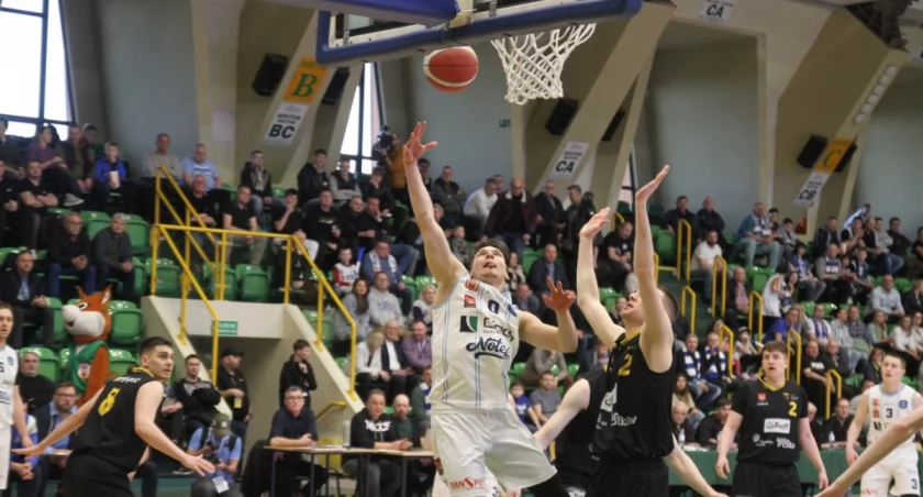 Koszykówka, Noteć ponownie pewnie pokonała Trefl Sopot - zdjęcie, fotografia