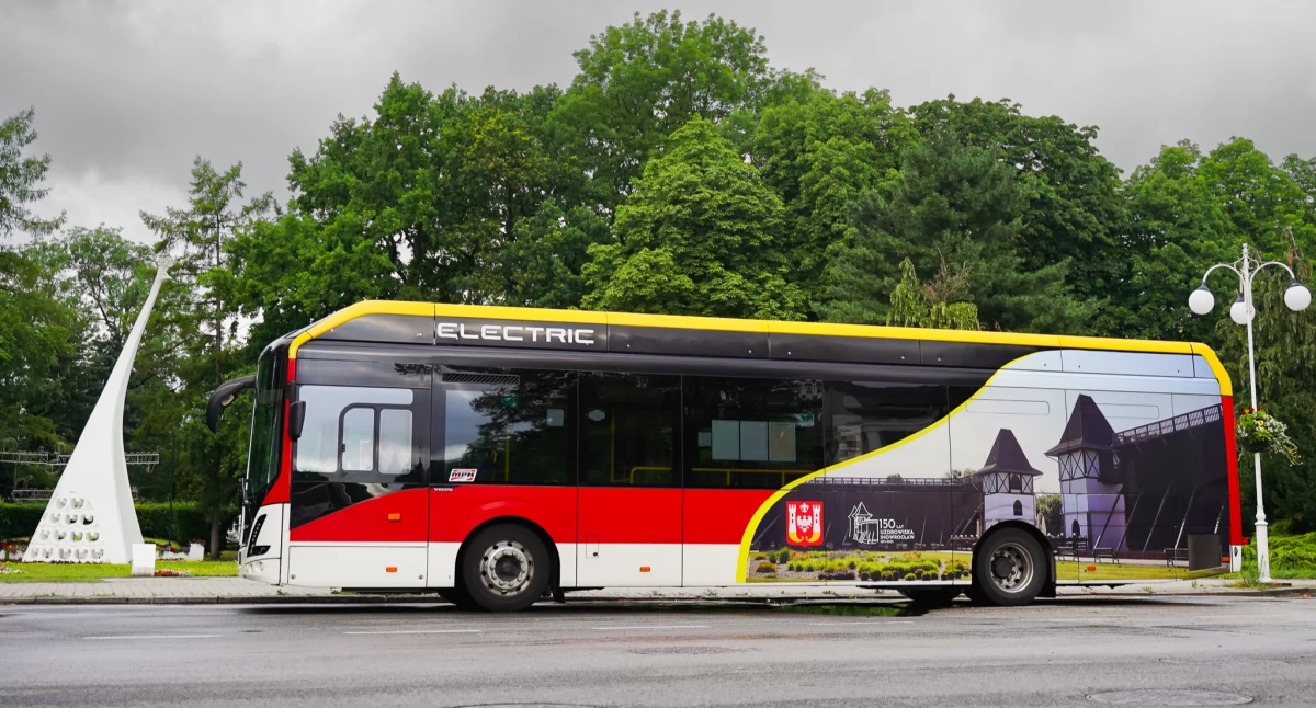 Społeczeństwo2, Linia lecie Uzdrowiska Inowrocław - zdjęcie, fotografia