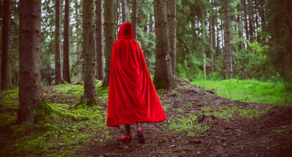 Społeczeństwo2, Dzień Czerwonego Kapturka święto opowieści fantazji lipca - zdjęcie, fotografia