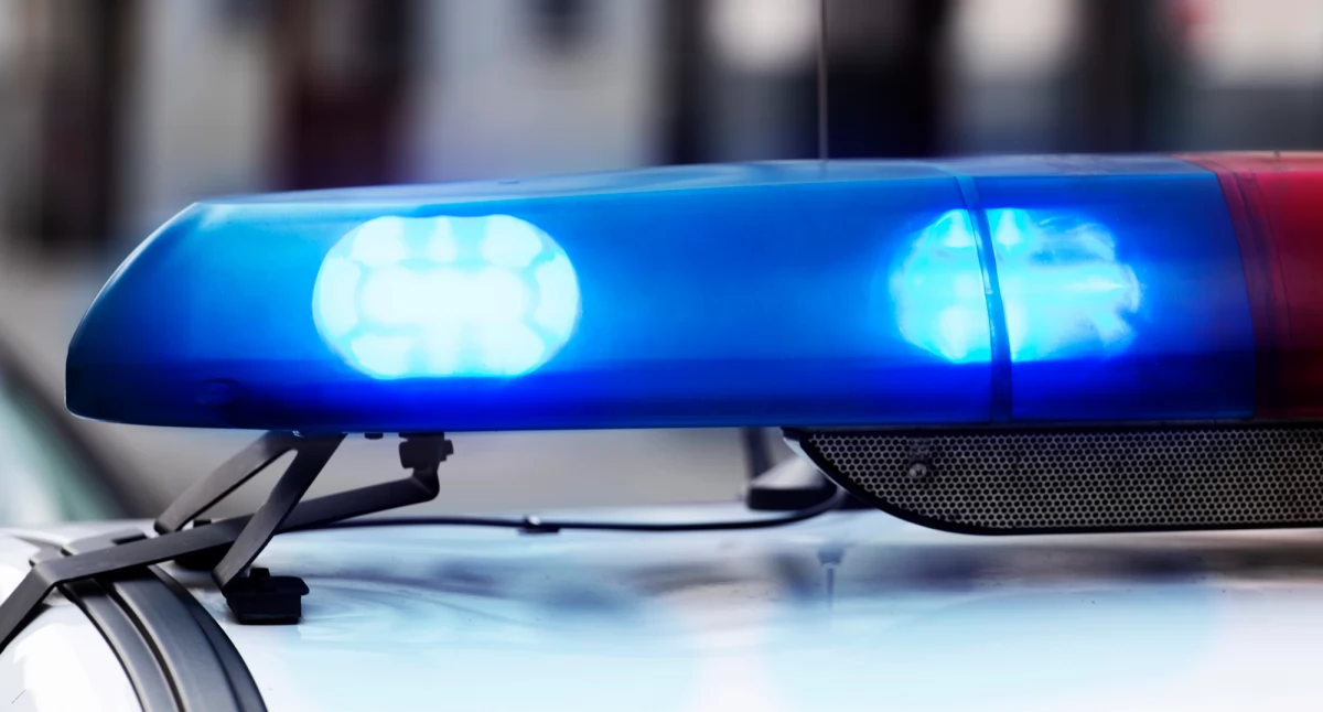 Społeczeństwo2, Międzynarodowy Dzień Policji sposób świętujemy bohaterów naszej społeczności - zdjęcie, fotografia