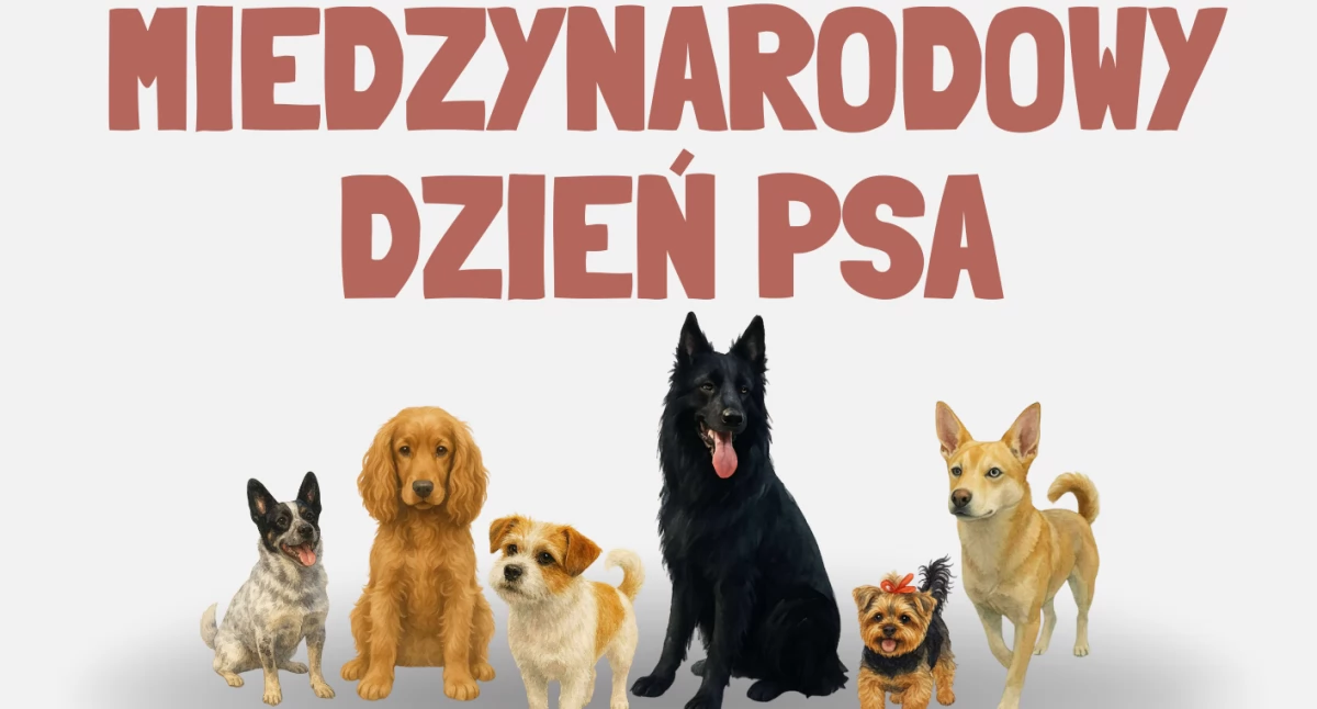 Społeczeństwo2, Międzynarodowy Dzień Inowrocławiu - zdjęcie, fotografia