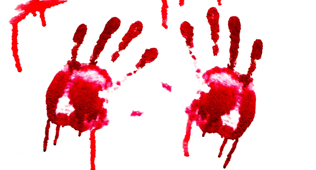 Społeczeństwo2, Międzynarodowy Dzień Upamiętnienia Ofiar Aktów Przemocy Religijnym sierpnia walce nietolerancją - zdjęcie, fotografia