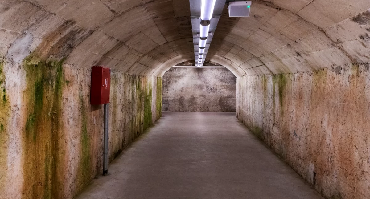 Samorząd, powiat przygotowany wojnę - zdjęcie, fotografia