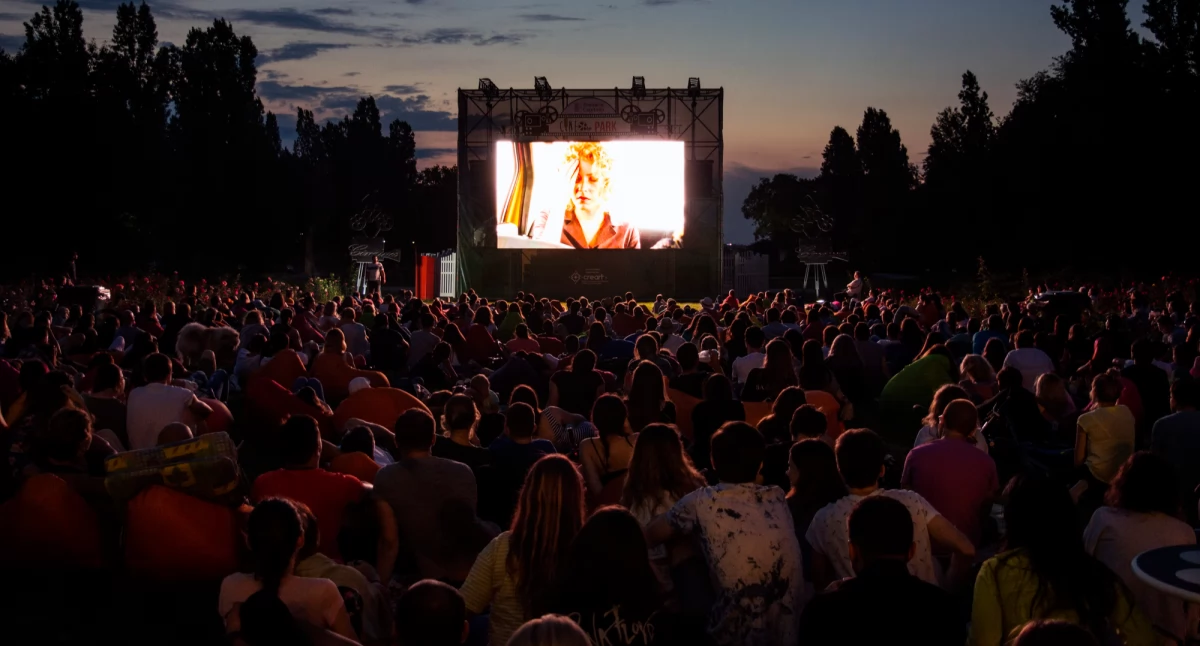 Kino, Inowrocławskie Wieczory Filmowe - zdjęcie, fotografia