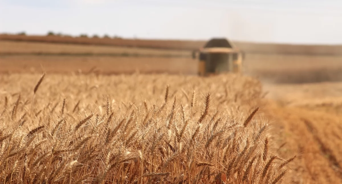 Gospodarka, Sklep AgroProfil Internetowy sklep rolniczy nowoczesnych gospodarstw pasjonatów - zdjęcie, fotografia
