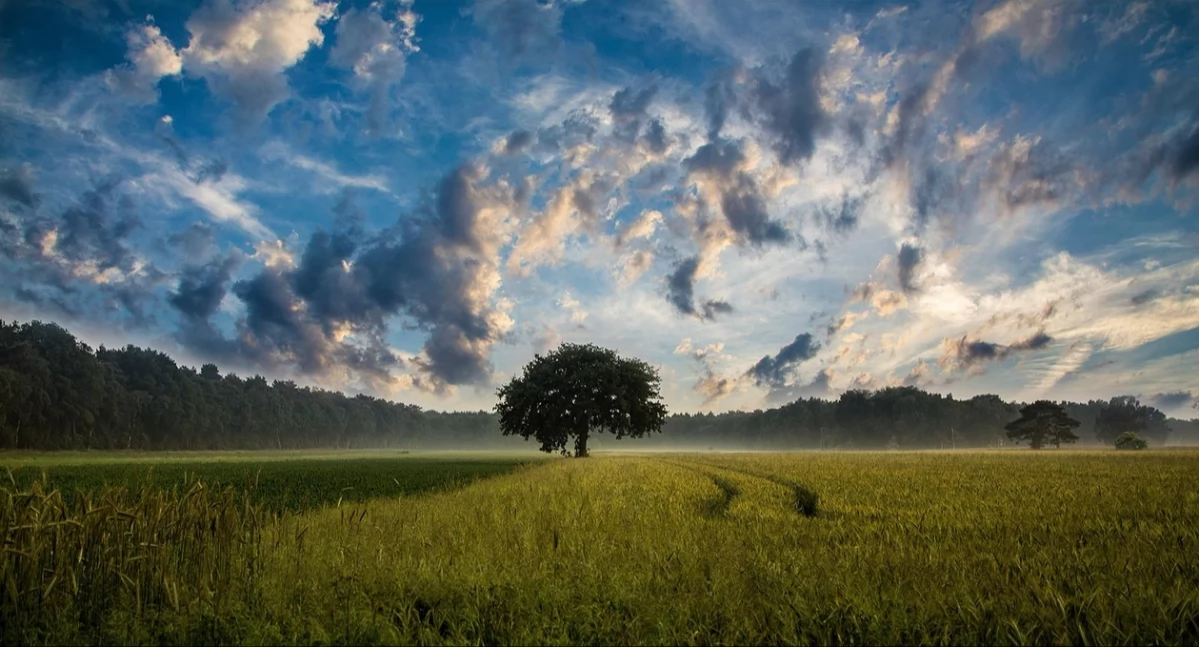 Gospodarka, warto sprzedać działkę deweloperowi - zdjęcie, fotografia