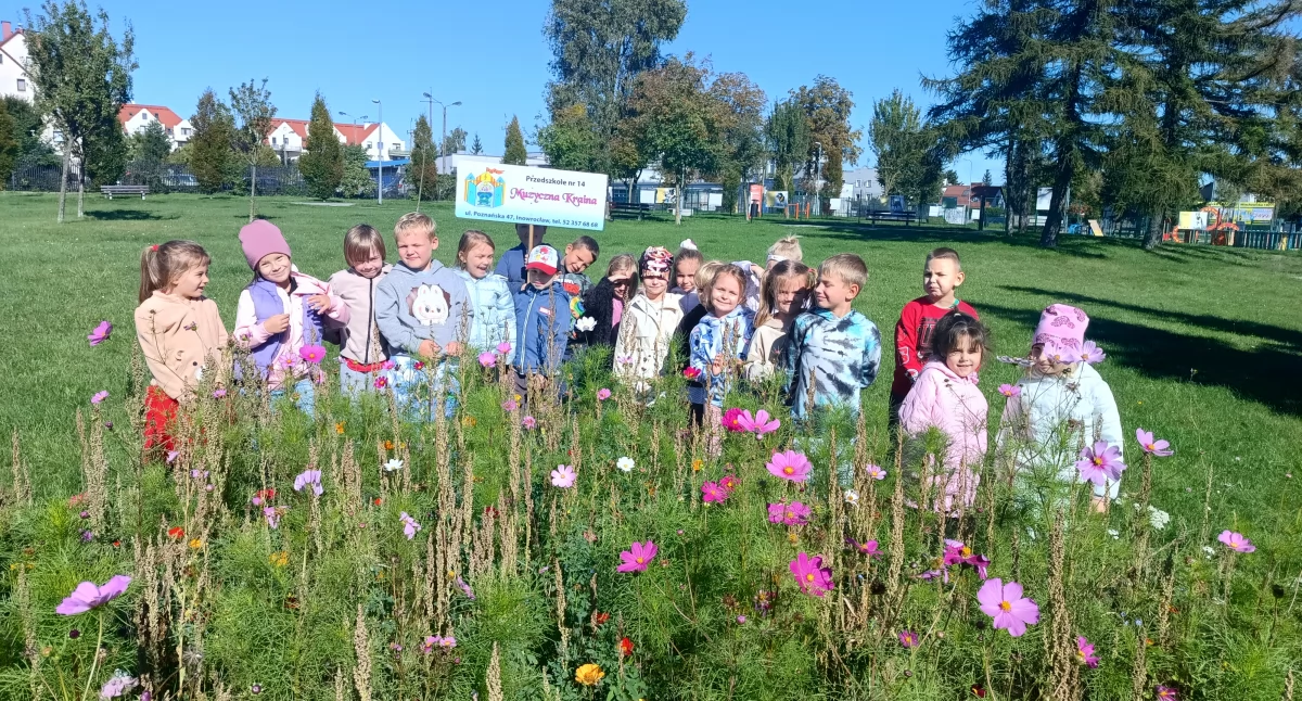 przedszkola, Przedszkolna miejska Poszukiwacze EkoSkarbów - zdjęcie, fotografia