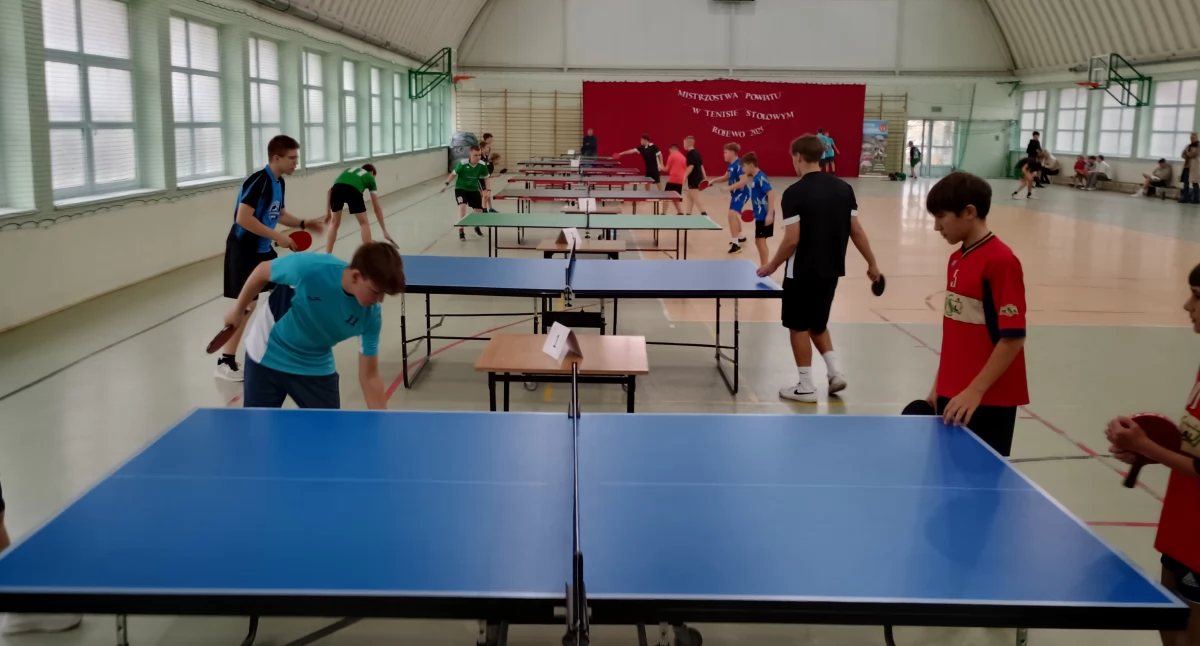 Tenis stołowy, Pasja rywalizacja sportowy najwyższym poziomie! - zdjęcie, fotografia