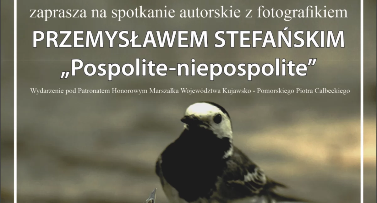 Spotkania, Pospolite–niepospolite Spotkanie autorskie fotografikiem Przemysławem Stefańskim Inowrocławiu - zdjęcie, fotografia