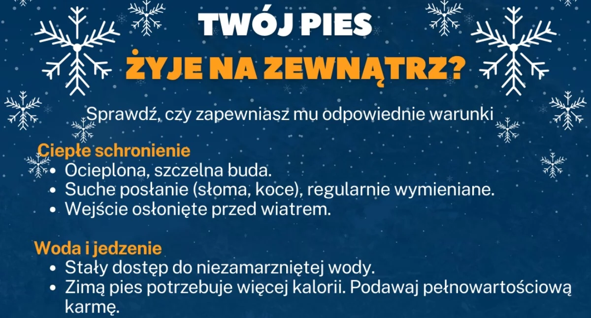 Społeczeństwo2, sprawdzian człowieczeństwa! pozwól zamarznąć! - zdjęcie, fotografia