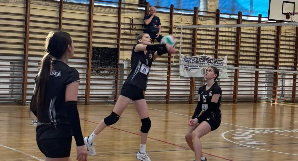 Siatkówka, Kasprowicz triumfuje hicie kolejki mistrzostwa! - zdjęcie, fotografia