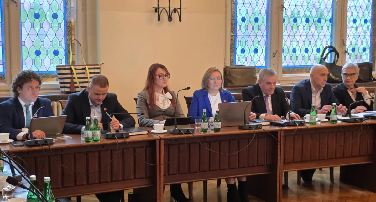 Samorząd, Rodzice dzieci niepełnosprawnościami prawa głosu sesji - zdjęcie, fotografia