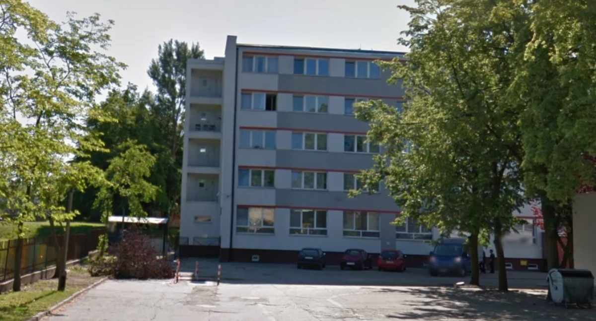 zdjęcie: google