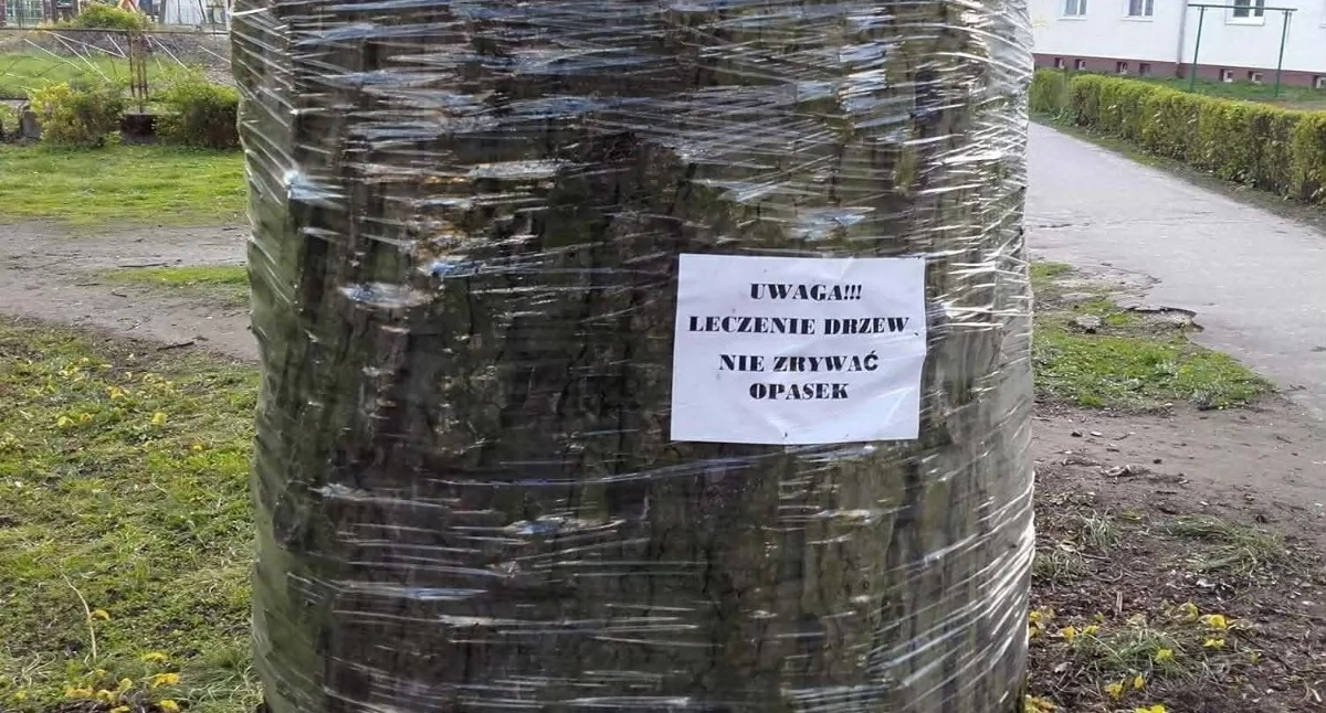 zdjęcie: Urząd Miasta Inowrocławia