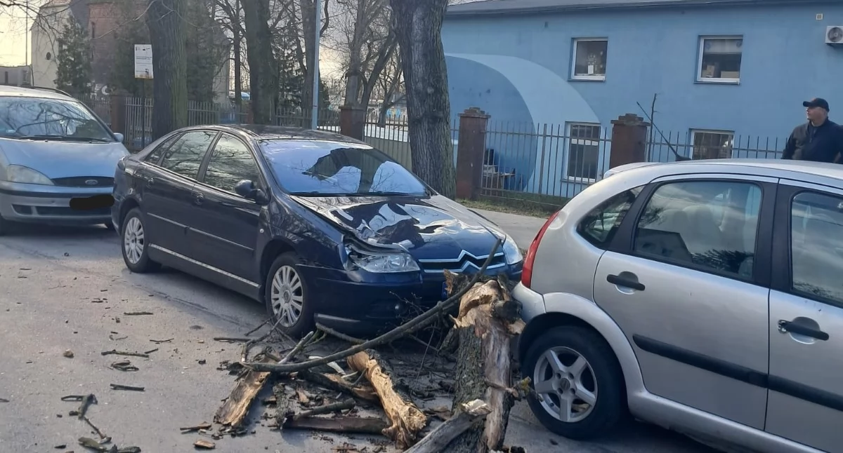 zdjęcia: KPPSP w Inowrocławiu