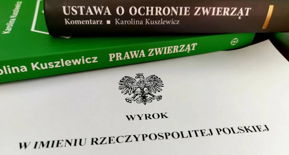 Społeczeństwo2, Wyrok sprawie śmierci Inowrocławiu orzekł zakazu posiadania zwierząt - zdjęcie, fotografia