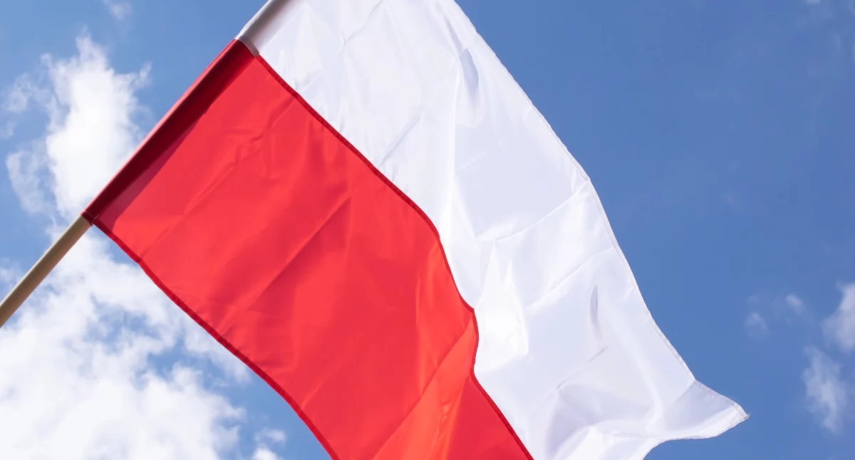 Społeczeństwo2, Odbierz bezpłatną flagę Urzędzie Miasta - zdjęcie, fotografia
