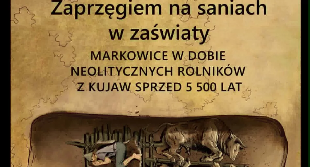Muzeum, Saniami zaświaty Niezwykłe odkrycie archeologiczne Muzeum Kasprowicza - zdjęcie, fotografia