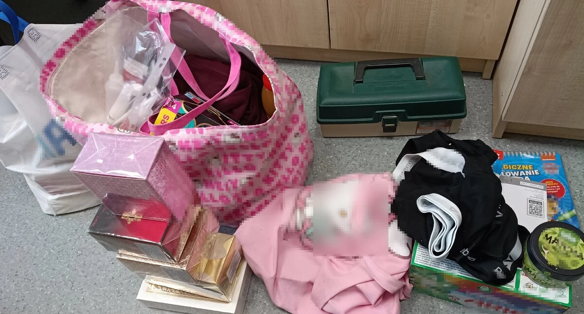 Sprawy kryminalne , Zarzuty kradzieży dwóch kobiet Jedna odpowie warunkach recydywy - zdjęcie, fotografia