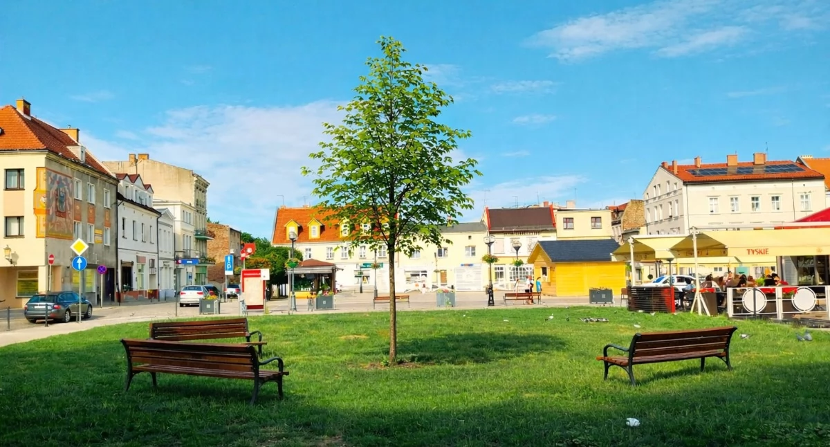 Samorząd, Samsickiej Radny proponuje symbol pamięci sprzeciwu wobec hejtu sercu Inowrocławia - zdjęcie, fotografia