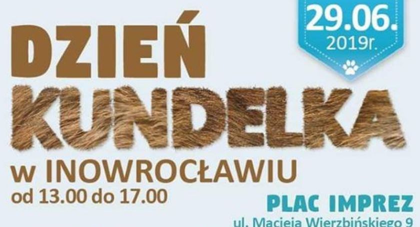 Kundelki jutro mają swój dzień w mieście