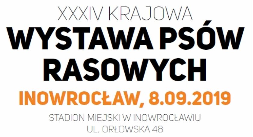 Zaprezentują się psie piękności