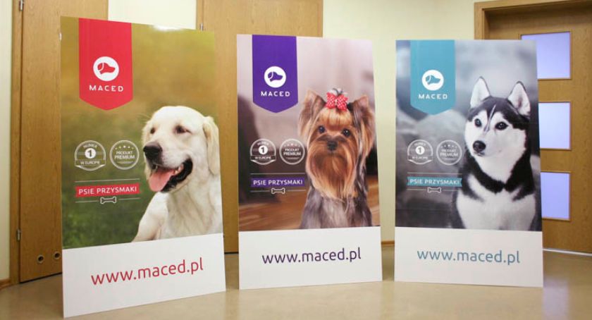 Stojaki reklamowe - czy warto inwestować w taką formę reklamy?