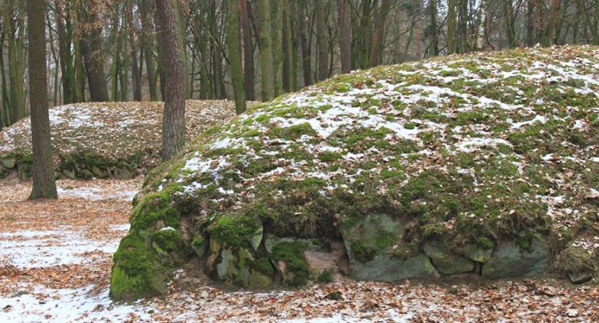 Jesteśmy starsi niż sądziliśmy. Niezwykły projekt edukacyjny w III LO