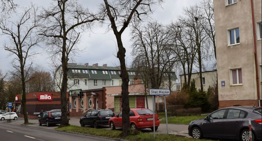 Kolejna drzewa idą podtopór
