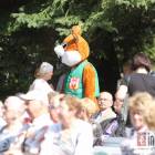 zdjęcie nr 11