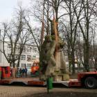 zdjęcie nr 55