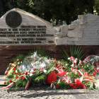 zdjęcie nr 31