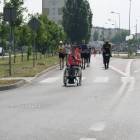 zdjęcie nr 204