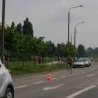 zdjęcie nr 93