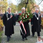 zdjęcie nr 14