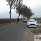 Fotka nr 1 z 12