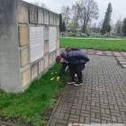 zdjęcie nr 7