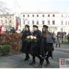 zdjęcie nr 42