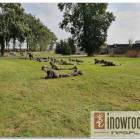 zdjęcie nr 10