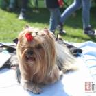 Fotka nr 4 z 50