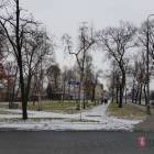 zdjęcie nr 5