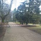 zdjęcie nr 7