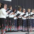 zdjęcie nr 12