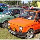 Fotka nr 4 z 182